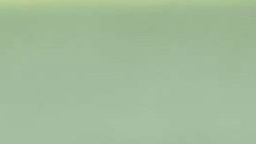 Javier "Chicharito" Hernández durante entrenamiento de la Selección Mexicana de fútbol | Mezcalent