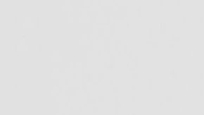 Lorenzo Mendez | Mezcalent