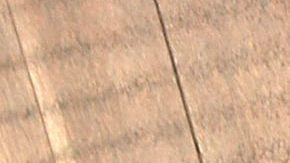 Sylvia Pasquel | Mezcalent