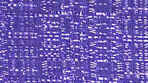 Sergio Mayer | Mezcalent