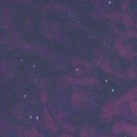 Carolina Sandoval con su esposo, Nick Hernández | Mezcalent