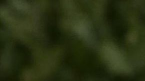 Eiza González | Mezcalent