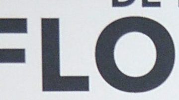 Mauricio Ochmann y Aislinn Derbez | Mezcalent