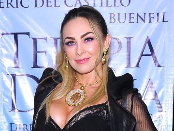 Aracely Arámbula | Mezcalent