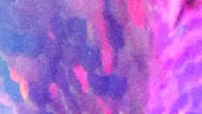 Frida Sofía | Mezcalent