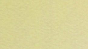 Regina Blandón | Mezcalent