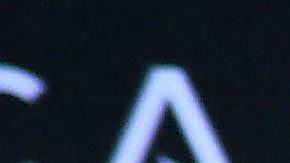 Julián Gil | Mezcalent