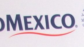 Michelle Salas | Mezcalent