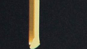 África Zavala | Mezcalent