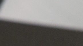 Bad Bunny muestra su cuerpo 'de luchador'