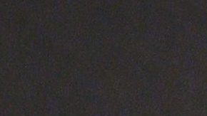 Bad Bunny gana su primer combate en la WWE