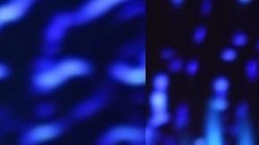 Alejandra Espinoza es una presentadora de televisión que alcanzó su fama gracias a Nuestra Belleza Latina. | Mezcalent