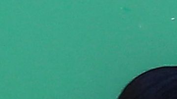 Stephanie Valenzuela