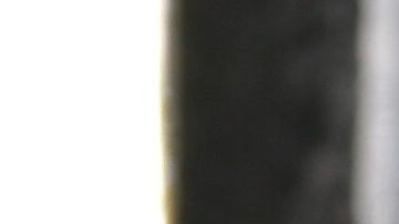 Sarita Sosa se proclama heredera universal de José José. | Mezcalent