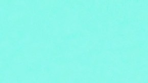 La hermosa y talentosa Lizzo en sexy ropa de encaje