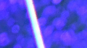 Gloria Estefan compartiendo escenario con su hija, Emily