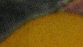 Angela Aguilar, Leonardo Aguilar, Pepe Aguilar y Antonio Aguilar Jr. en Jaripeo Sin Fronteras 2019 | JC Olivera/Getty Images