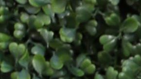 Maria Gabriela De Faria | Rich Polk/Getty Images for Sony Pictures Television