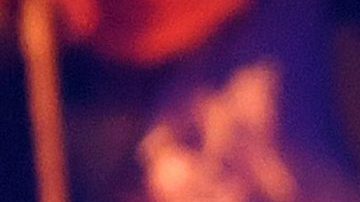 Angela Aguilar en el escenario de los Premios Juventud de 2019 | Jason Koerner/Getty Images