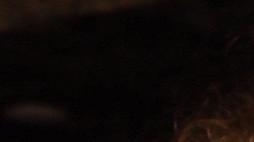 Humberto Zurita y Christian Bach