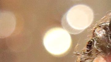 Marc Anthony anuncia concierto gratis