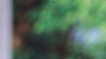 María Levy abre su corazón tras el aniversario luctuoso de su mamá, Mariana Levy