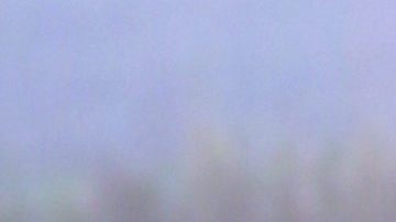 Patricia Manterola cumple 49 años