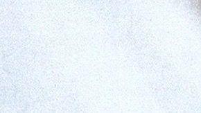 Selena Quintanilla enamoró a otro integrante de Los Dinos