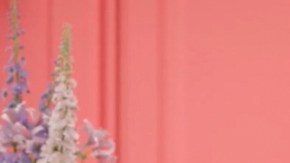 Ana Brenda Contreras, la embajadora de Prende TV