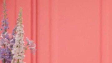 Ana Brenda Contreras, la embajadora de Prende TV