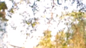 Biby Gaytán y Eduardo Capetillo