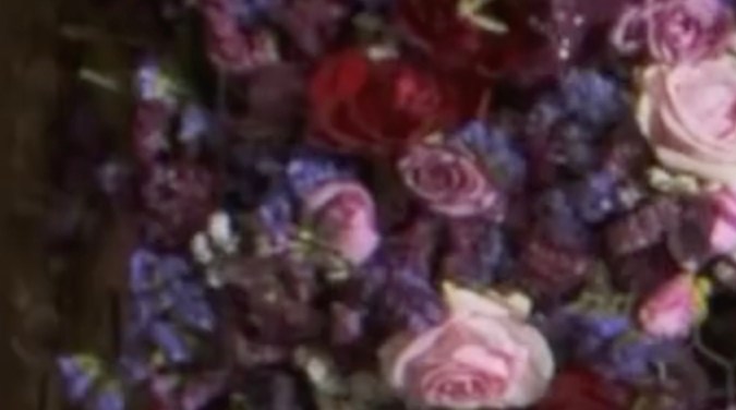 La Casa de las Flores: La Película, pronto en Netflix | Netflix