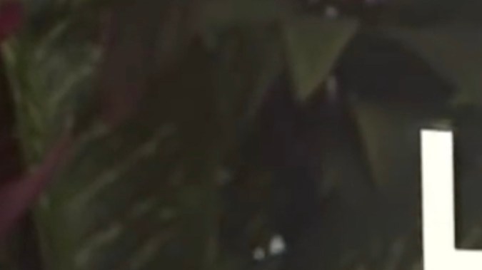 La Vengaza de las Juanas, pronto en Netflix | Netflix