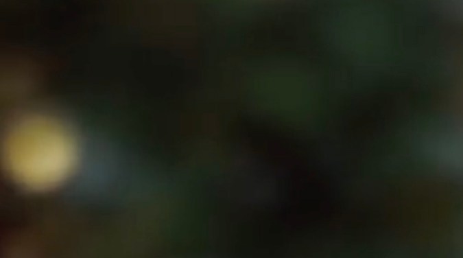 Una Navidad No Tan Padre, pronto en Netflix | Netflix