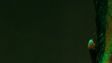 Justin Theroux protagoniza 'The Mosquito Coast'