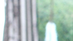 Talina Fernández | Mezcalent