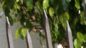 Aleida Nuñez | Mezcalent