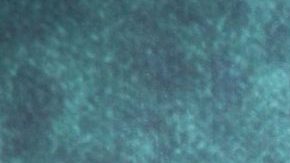 Camila Sodi | Mezcalent