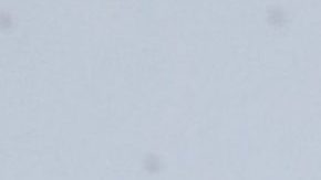 Toni Costa y Adamari López | Mezcalent