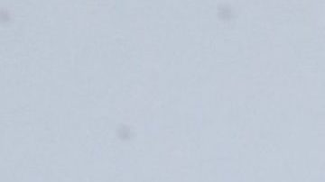 Toni Costa y Adamari López | Mezcalent