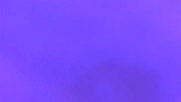 Lupita D'Alessio | Mezcalent