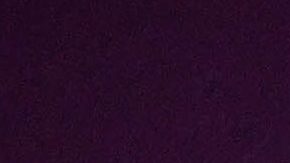 Talina Fernández | Mezcalent