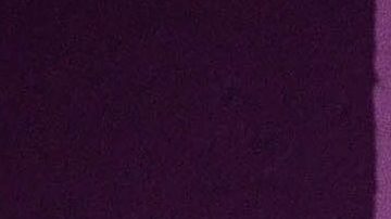 Talina Fernández | Mezcalent