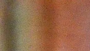 Niurka Marcos | Mezcalent