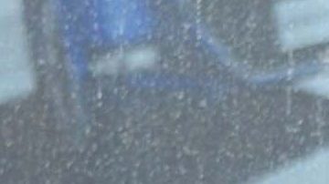 Diego Boneta | Mezcalent