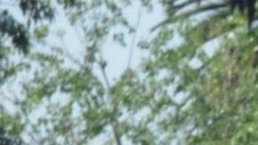 Paty Chapoy | Mezcalent