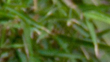 Niurka Marcos | Mezcalent