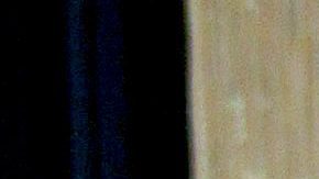 Laisha Wilkins | Mezcalent