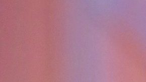 Salma Hayek | Mezcalent