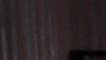 Andrea Legarreta | Mezcalent